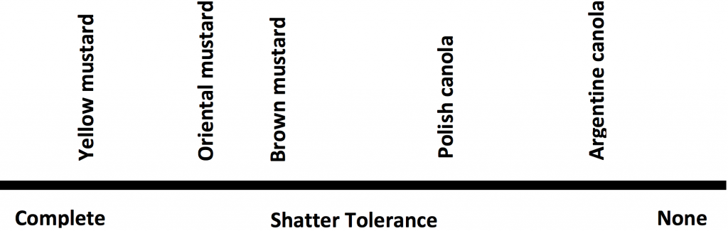 Shatter tolerance